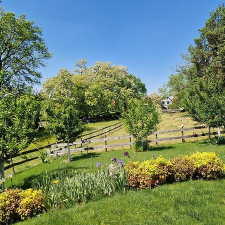 Gite Terre D'Helene 4 A 5 Pers Proche Strasbourg 42 M2, 3 Etoiles, Wifi, Paisible, Jardin, Proche Commerces,16 Atouts, Animaux Acceptes Berstett Exteriör bild