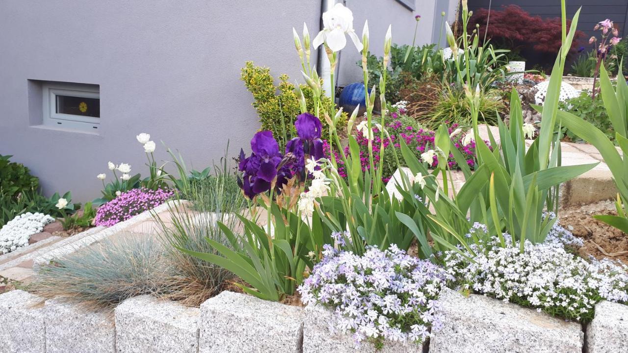 Gite Terre D'Helene 4 A 5 Pers Proche Strasbourg 42 M2, 3 Etoiles, Wifi, Paisible, Jardin, Proche Commerces,16 Atouts, Animaux Acceptes Berstett Exteriör bild
