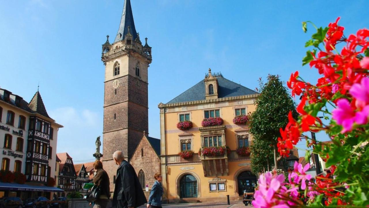 Gite Terre D'Helene 4 A 5 Pers Proche Strasbourg 42 M2, 3 Etoiles, Wifi, Paisible, Jardin, Proche Commerces,16 Atouts, Animaux Acceptes Berstett Exteriör bild