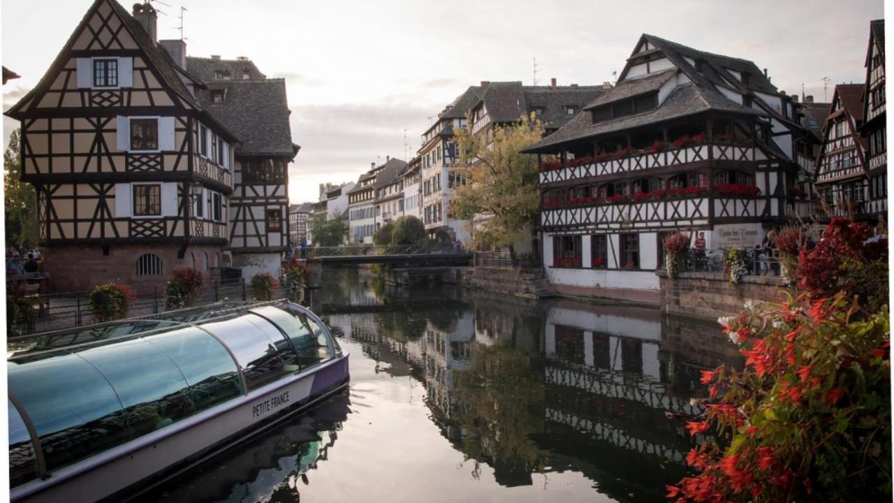 Gite Terre D'Helene 4 A 5 Pers Proche Strasbourg 42 M2, 3 Etoiles, Wifi, Paisible, Jardin, Proche Commerces,16 Atouts, Animaux Acceptes Berstett Exteriör bild