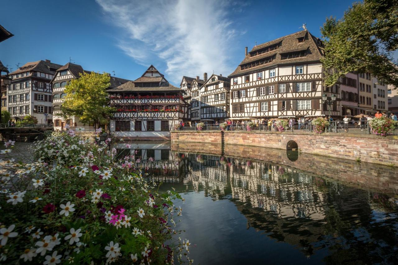 Gite Terre D'Helene 4 A 5 Pers Proche Strasbourg 42 M2, 3 Etoiles, Wifi, Paisible, Jardin, Proche Commerces,16 Atouts, Animaux Acceptes Berstett Exteriör bild