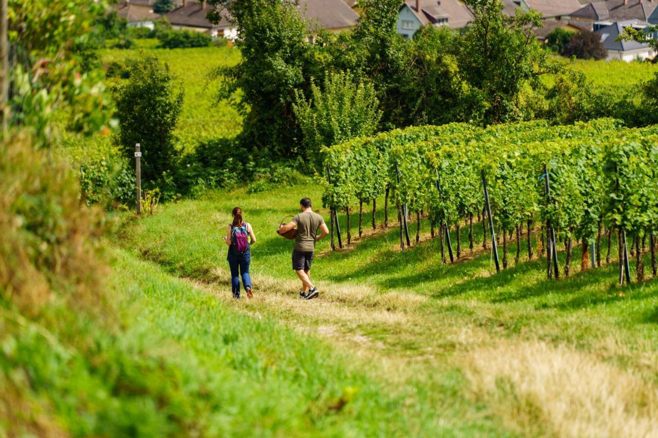 Gite Terre D'Helene 4 A 5 Pers Proche Strasbourg 42 M2, 3 Etoiles, Wifi, Paisible, Jardin, Proche Commerces,16 Atouts, Animaux Acceptes Berstett Exteriör bild