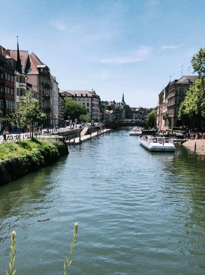 Gite Terre D'Helene 4 A 5 Pers Proche Strasbourg 42 M2, 3 Etoiles, Wifi, Paisible, Jardin, Proche Commerces,16 Atouts, Animaux Acceptes Berstett Exteriör bild
