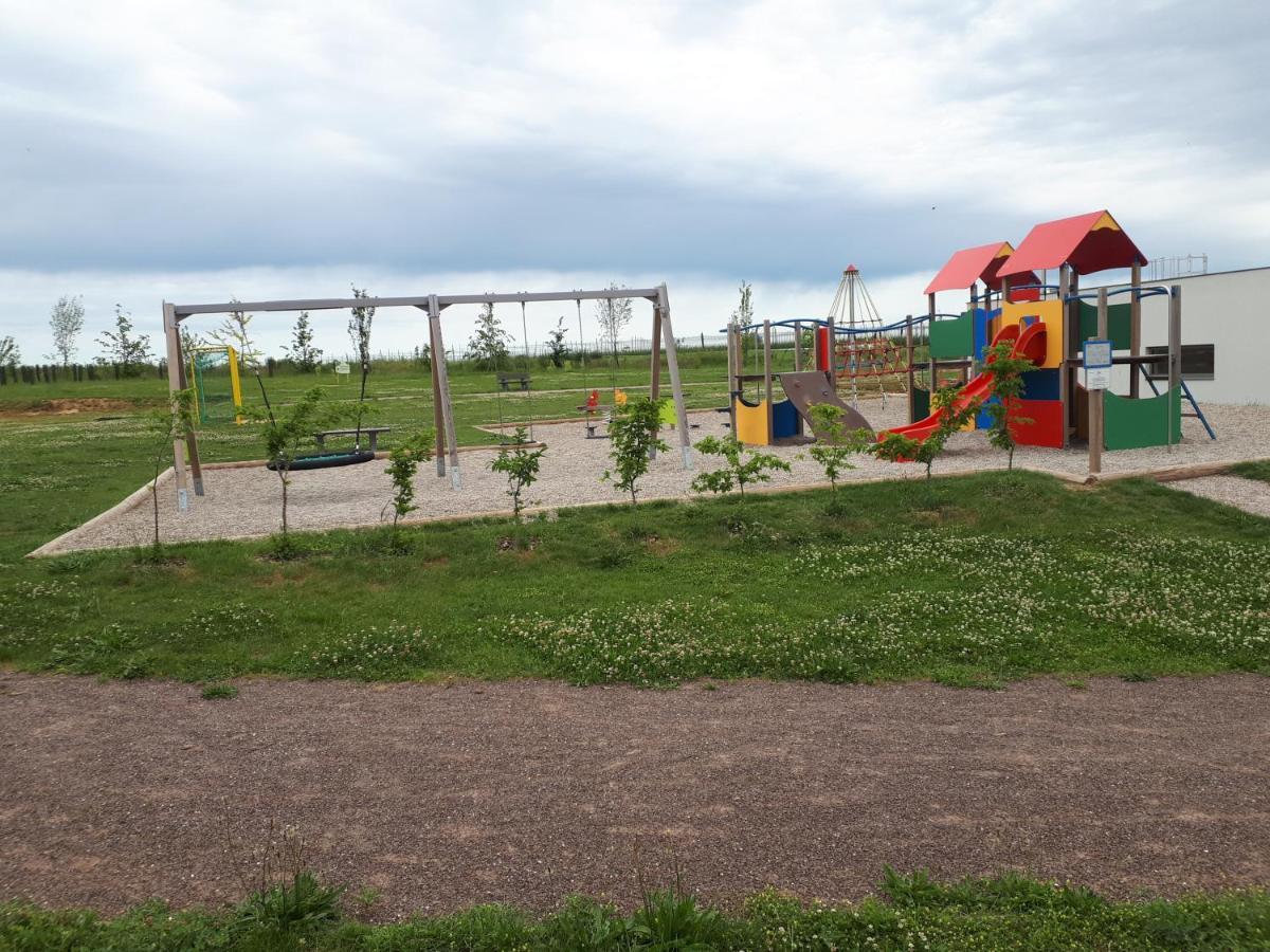 Gite Terre D'Helene 4 A 5 Pers Proche Strasbourg 42 M2, 3 Etoiles, Wifi, Paisible, Jardin, Proche Commerces,16 Atouts, Animaux Acceptes Berstett Exteriör bild