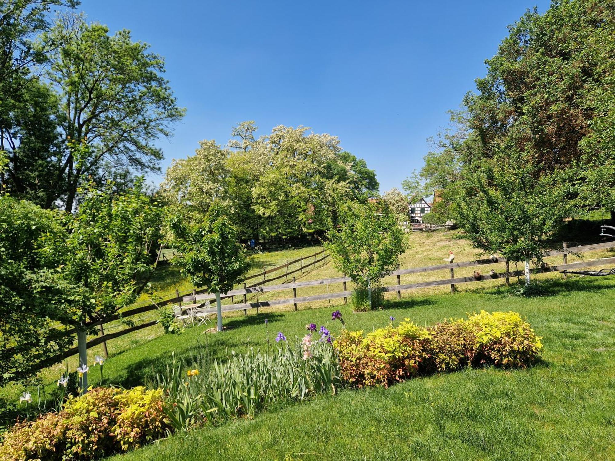Gite Terre D'Helene 4 A 5 Pers Proche Strasbourg 42 M2, 3 Etoiles, Wifi, Paisible, Jardin, Proche Commerces,16 Atouts, Animaux Acceptes Berstett Exteriör bild